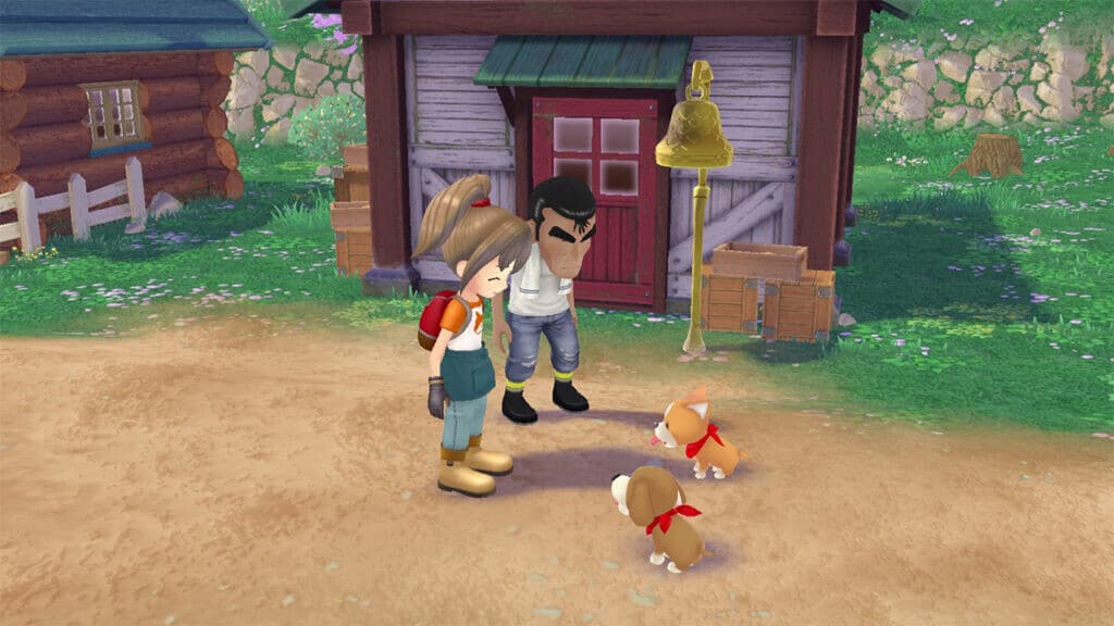 Story of Seasons A Wonderful Life gratuit
