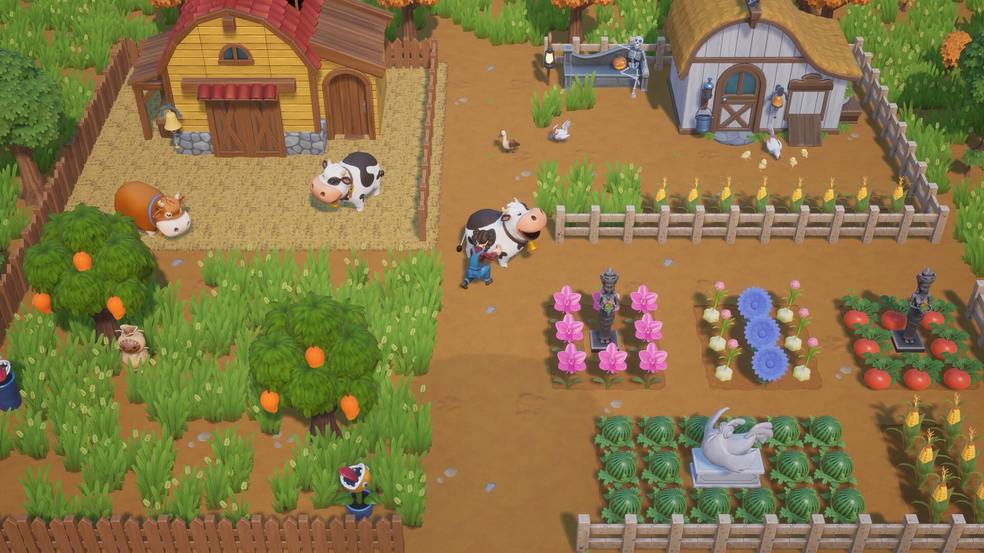 Coral Island pour pc