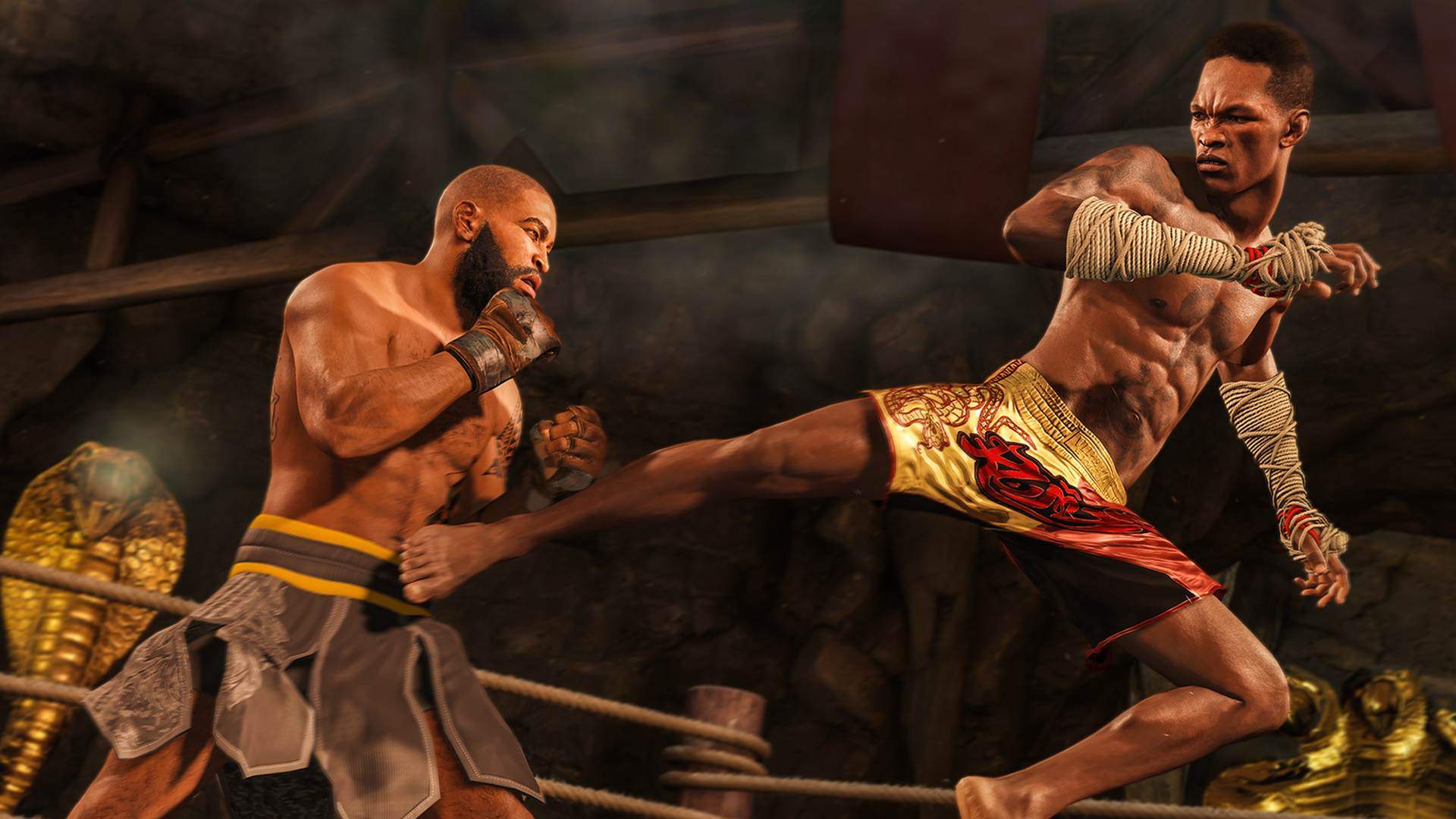 UFC 4 jeu PC Français 3 UFC 4 Télécharger jeu