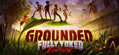 Grounded jeu PC